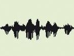 Les ondes vocales des mariés